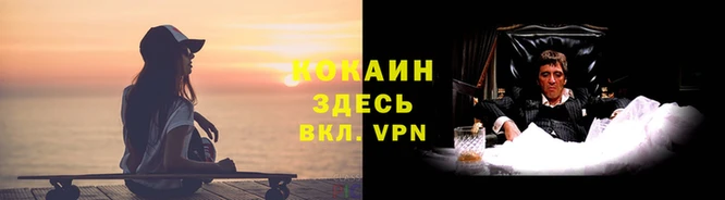 винт Алзамай